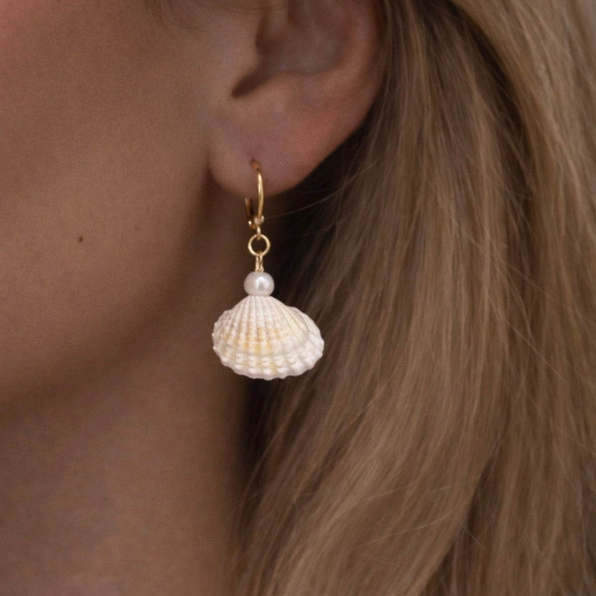 Coastal shell drop earrings with natural shell charms and gold-plated details